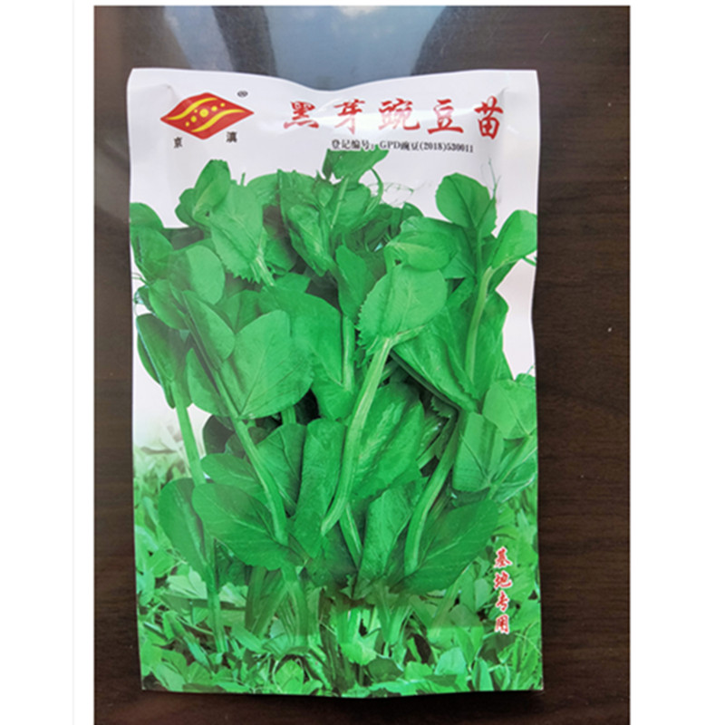 云南蔬菜种子包邮黑芽豌豆苗100克昆明老品种豆尖四季庭园艺菜籽