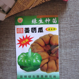 云南蔬菜种子包邮姜柄瓜3g老品种江别瓜阳台花圃菜地昆明家庭园艺