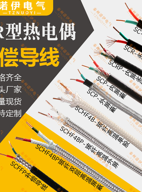 国标S型/B/R型热电偶补偿导线 铂铑热电偶线S测温线精密级SC2*1.0