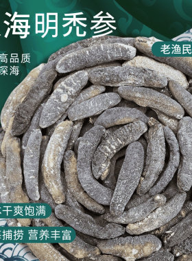 明禿参干货淡干野生海参沙秃参印尼刺参白刺参明秃参龙纹参猪婆参