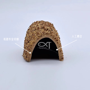 短鲷躲避，异型鱼躲避屋，南美缸果壳，造景躲避果壳