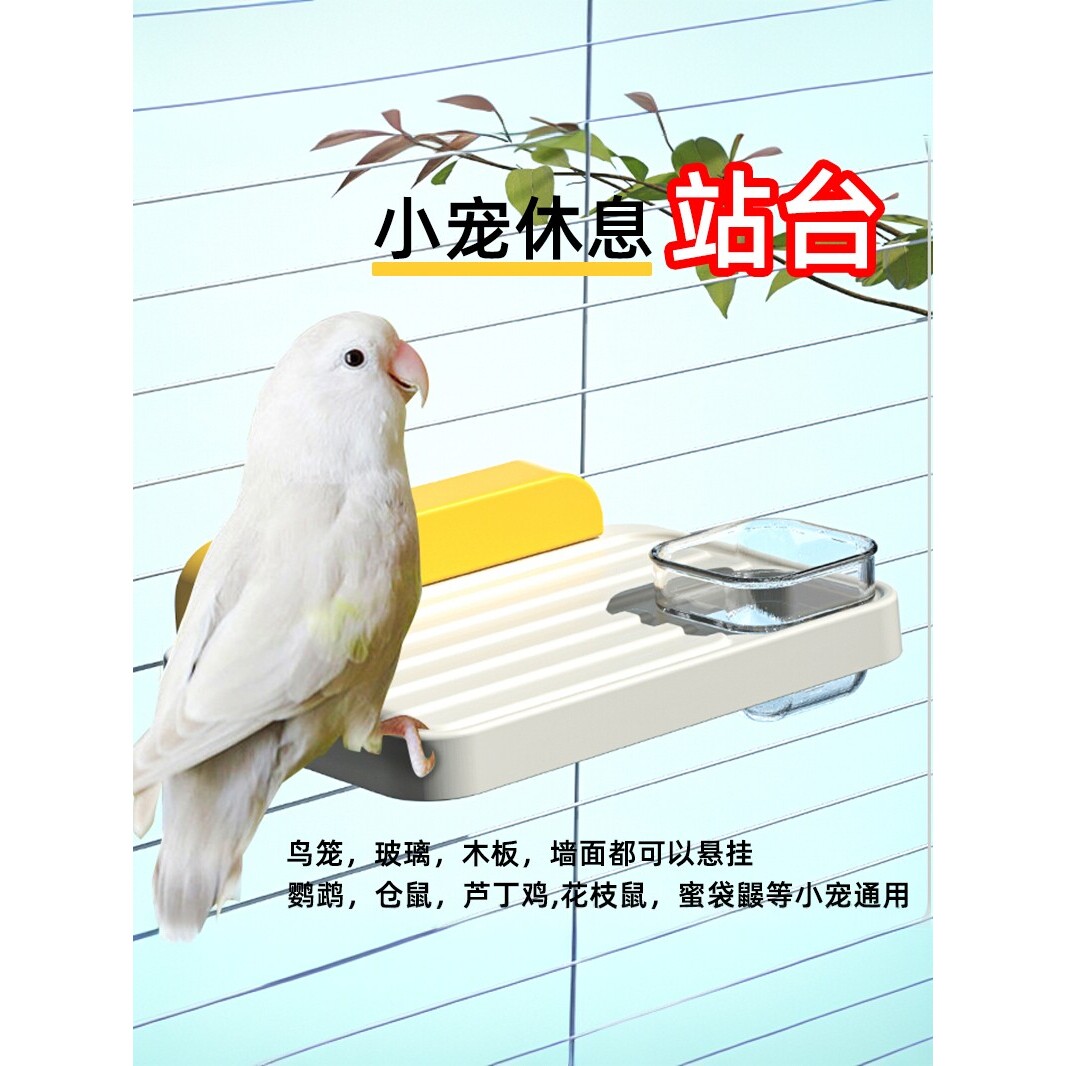 鹦鹉站台鸟用可拆卸易清洗站架鸟笼玻璃两用站架鹦鹉专用站立平台