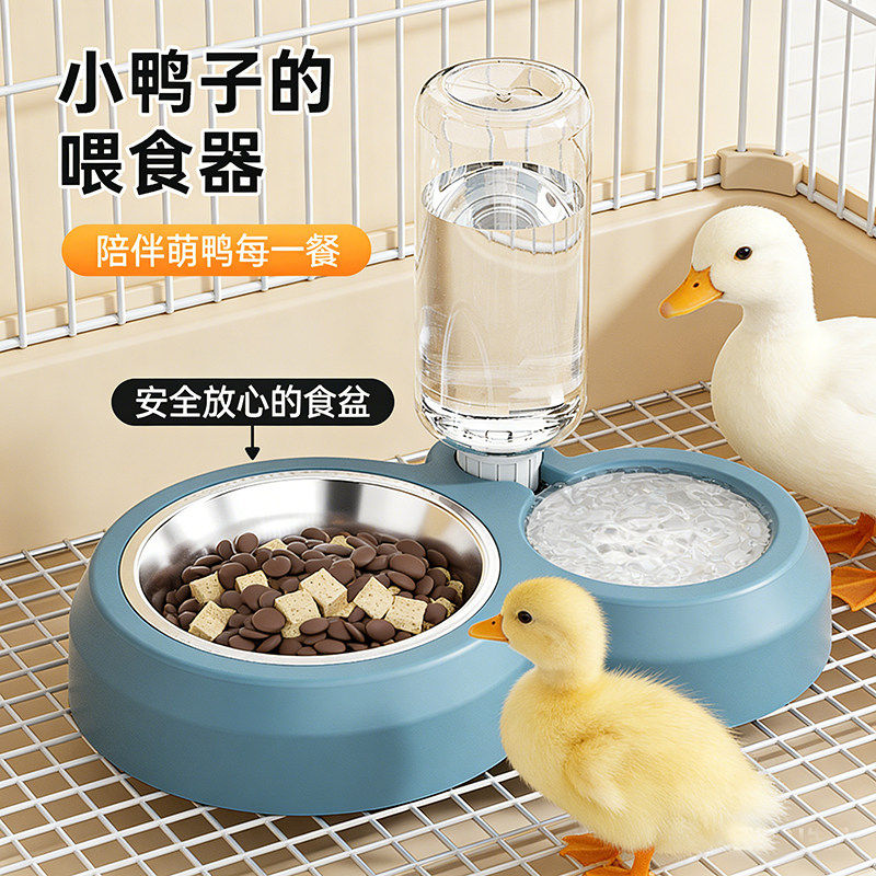 小鸭子食盆自动饮水器一体小鸡吃饭的碗饲料盒喂宠物柯尔鸭喂食器