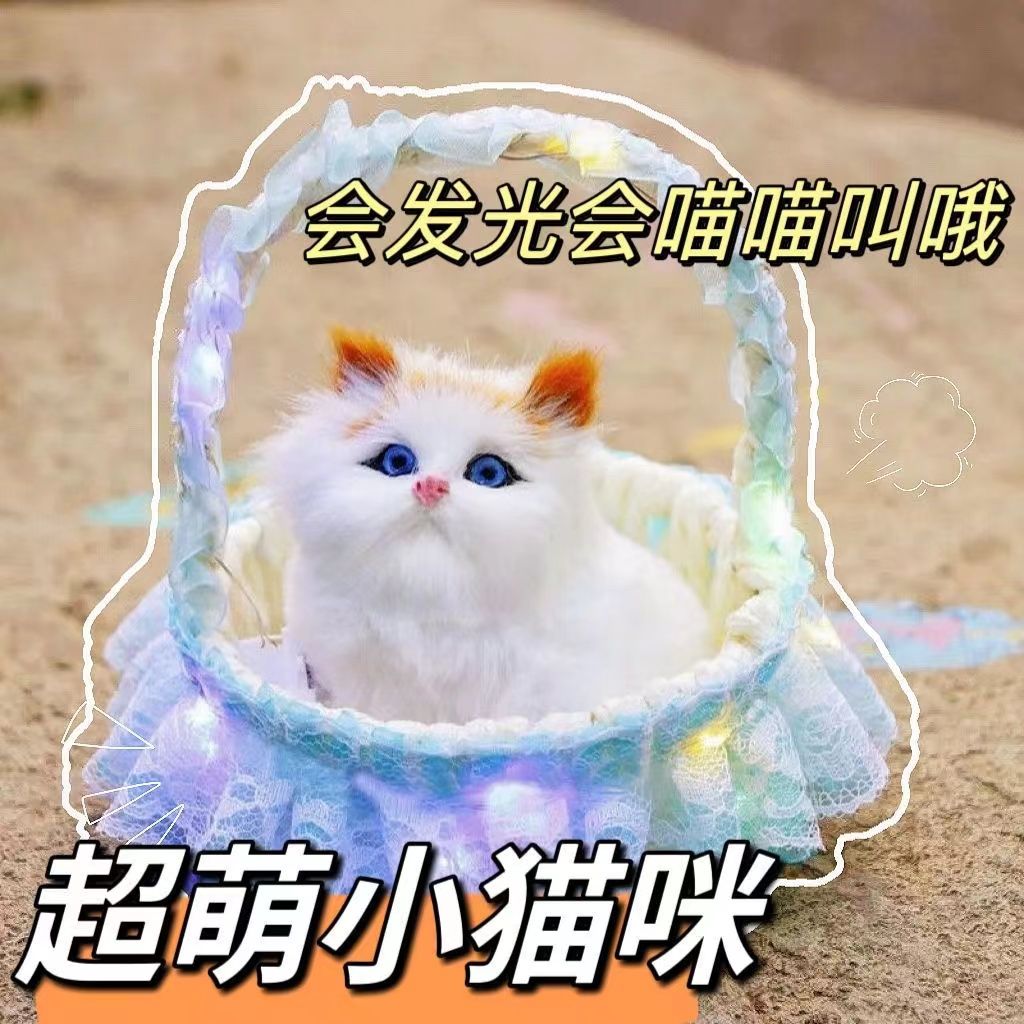 发光带灯小猫咪花篮玩具