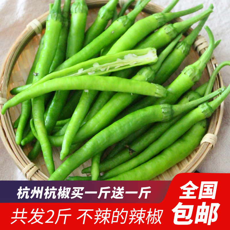 新鲜杭州杭椒1000g 不辣的小尖辣椒小炒肉青辣椒非樟树港辣椒包邮|msdalam kategori daging perikanan/Buah-buahan segar dan sayur-sayuran/dimasak, sayur-sayuran segar/Vegetable Products, sayur-sayuran segar, 辣椒 - dari Buy2taobao.com untuk memberikan perkhidmatan ejen Taobao profesional membeli