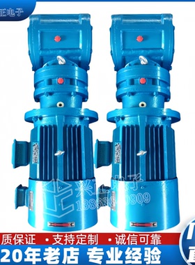 SBD50/SBD65/SBD75/SBD85申克称专用皮带秤减速机dzxd申克减速机