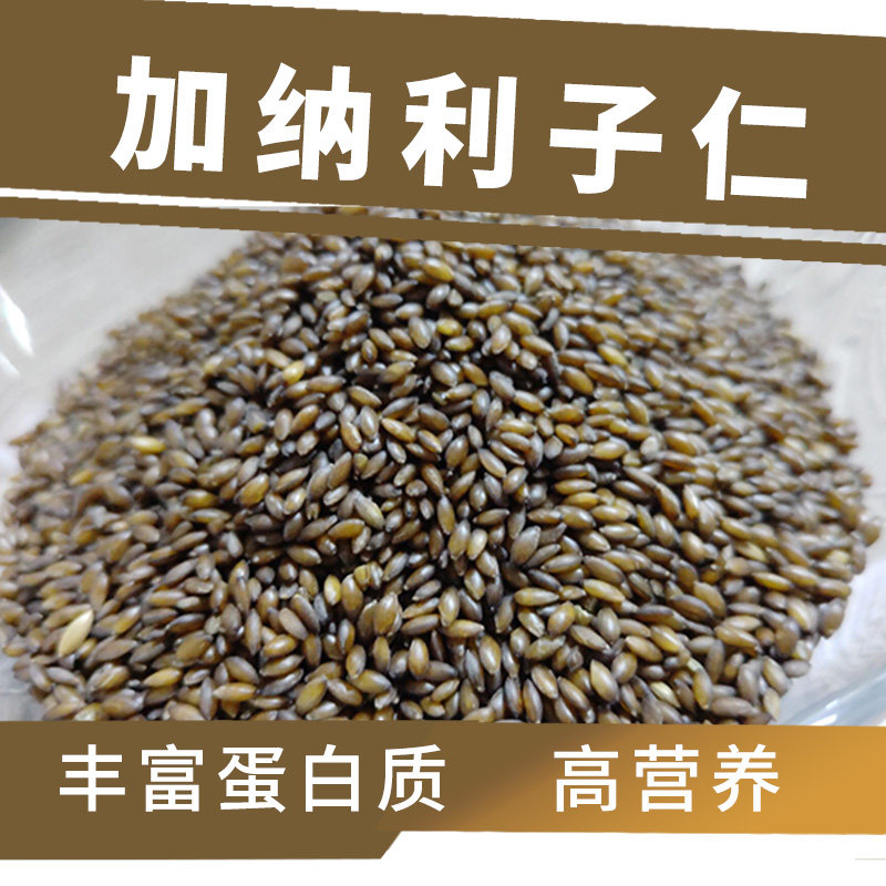 鸟味食王去壳加纳利子仁金丝雀粟芙蓉玉鸟文鸟鹦鹉鸟食粮料1斤