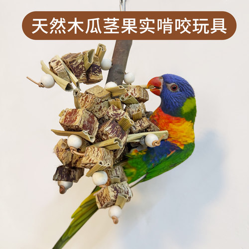 鹦鹉啃咬玩具解闷玩具鹦鹉磨嘴