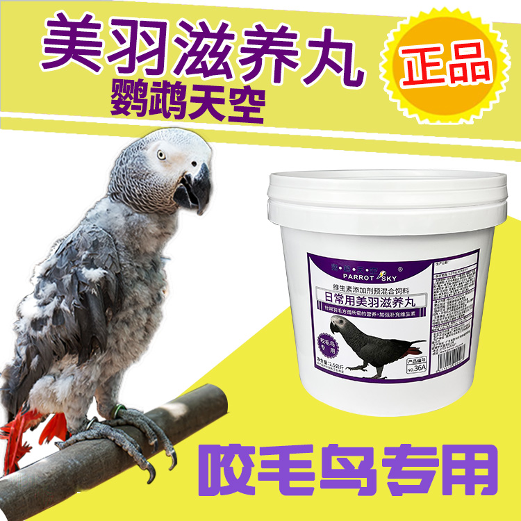 预防鹦鹉咬毛滋养丸鹦鹉天空