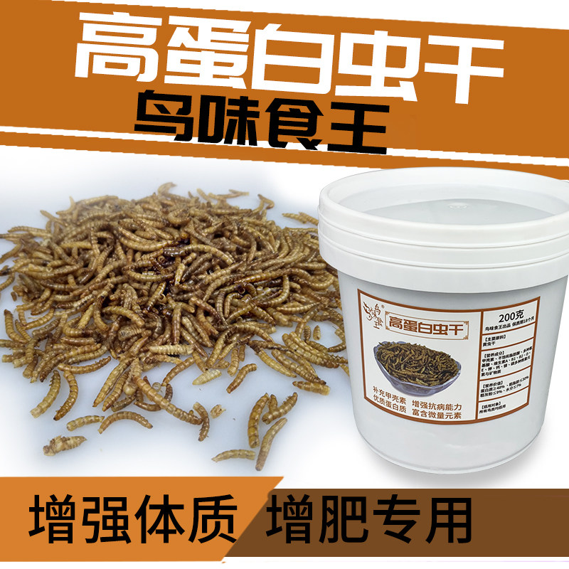 鸟味食王高蛋白虫干八哥鹩哥鹦鹉面包虫干黄粉虫鸟零食粮营养料,宠物/宠物食品及用品,鸟食,淘宝优惠券,粉丝福利购,淘宝优惠卷