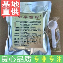 虫草粉厂家正品 冬虫夏草菌粉cs 发酵虫草菌丝体粉超细250克3送1
