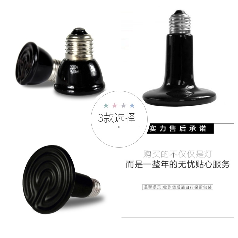 刺猬鹦鹉蜥蜴爬虫箱宠物蛇