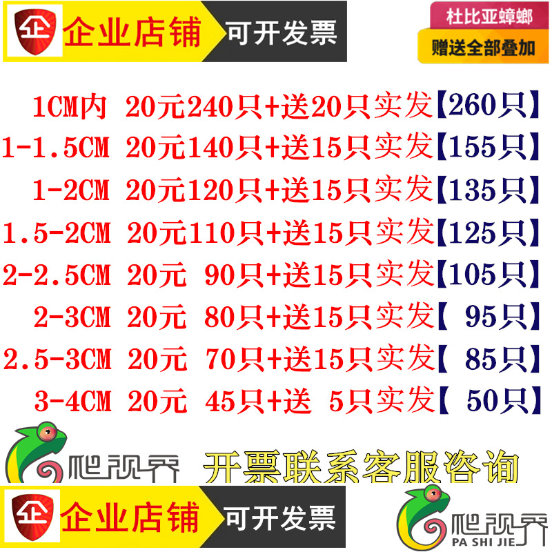 杜比亚蟑螂活体幼体亚成各种规格 蜥蜴龙鱼变色龙 饲料 包邮