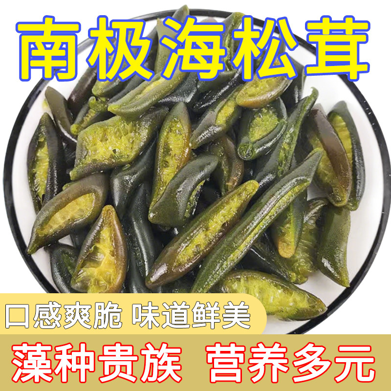 南极海松茸新鲜海笋凉拌冷冻原味海茸火锅下饭菜饭店商用