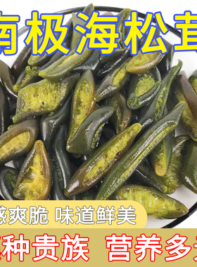 南极海松茸新鲜海笋凉拌冷冻原味海茸火锅下饭菜饭店商用