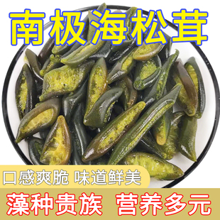 南极海松茸新鲜海笋凉拌冷冻原味海茸火锅下饭菜饭店商用