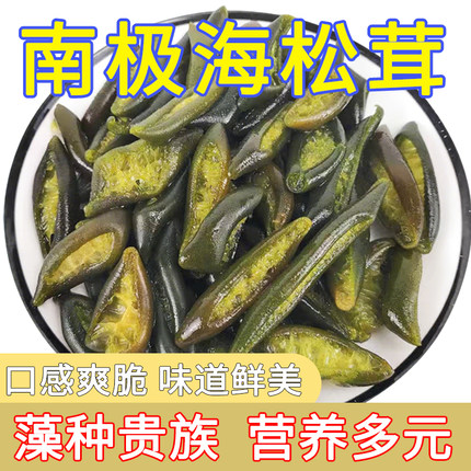 南极海松茸新鲜海笋凉拌冷冻原味海茸火锅下饭菜饭店商用