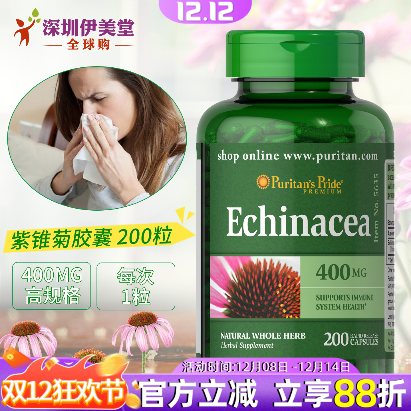 美国普丽普莱紫锥菊松果菊免疫力