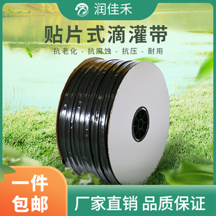 双孔滴灌管滴灌带农用膜下草莓大棚蔬菜节水微喷带 16滴水贴片式