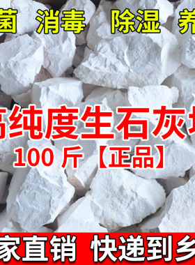 生石灰块粉鱼塘消毒杀菌驱虫养殖场净水刷树吸潮氧化钙干燥剂50斤