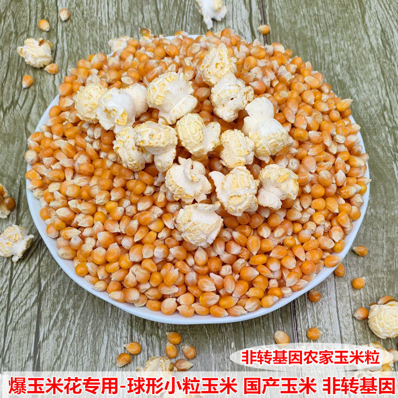爆玉米花专用玉米小粒玉米球形米花农家玉米非转基因玉米一斤包邮