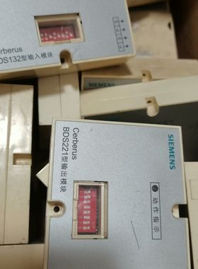 输出模块BDS221