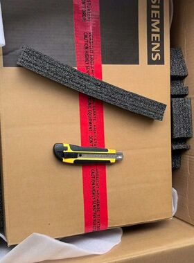 6SN1111-0AA00-0DA1   55KW电抗器