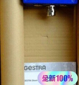 GESTRA LRGT 16-1 杰斯特拉电导率传感器