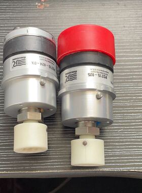 赛默飞进样阀 RHEODYNE  PD715-025