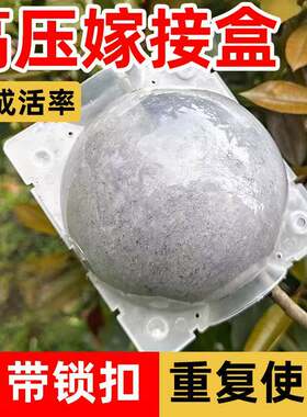 植物嫁接高压繁殖盒嫁接用