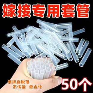 嫁接套管果树花卉植物弹性不伤苗百香果月季可降解免拆软管