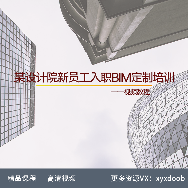 BM01-某设计院新员工入职BIM定制培训教程
