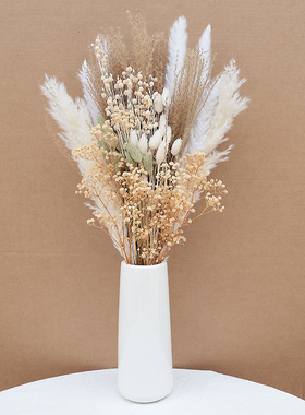 拂尘小芦苇蒲苇满天星干花花束套装天然真花风干ins家居装饰摆件