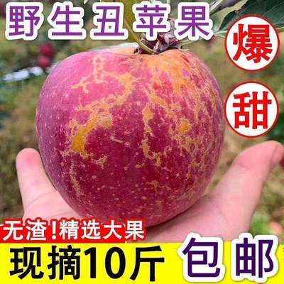 心当摘昭通苹果脆甜10野生