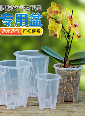 BZG透明可视空气柱控根盆
