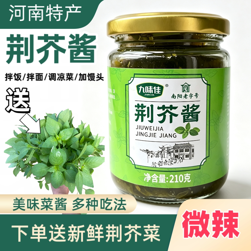 正宗河南荆芥酱下饭酱拌面酱新货拌面荆芥酱下饭神器瓶装新品