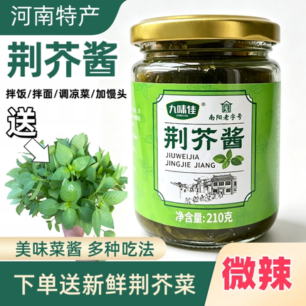 正宗河南荆芥酱下饭酱拌面酱新货拌面荆芥酱下饭神器瓶装新品