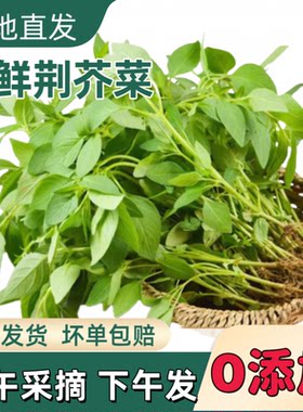 农家自种，原产地直发，新鲜保证