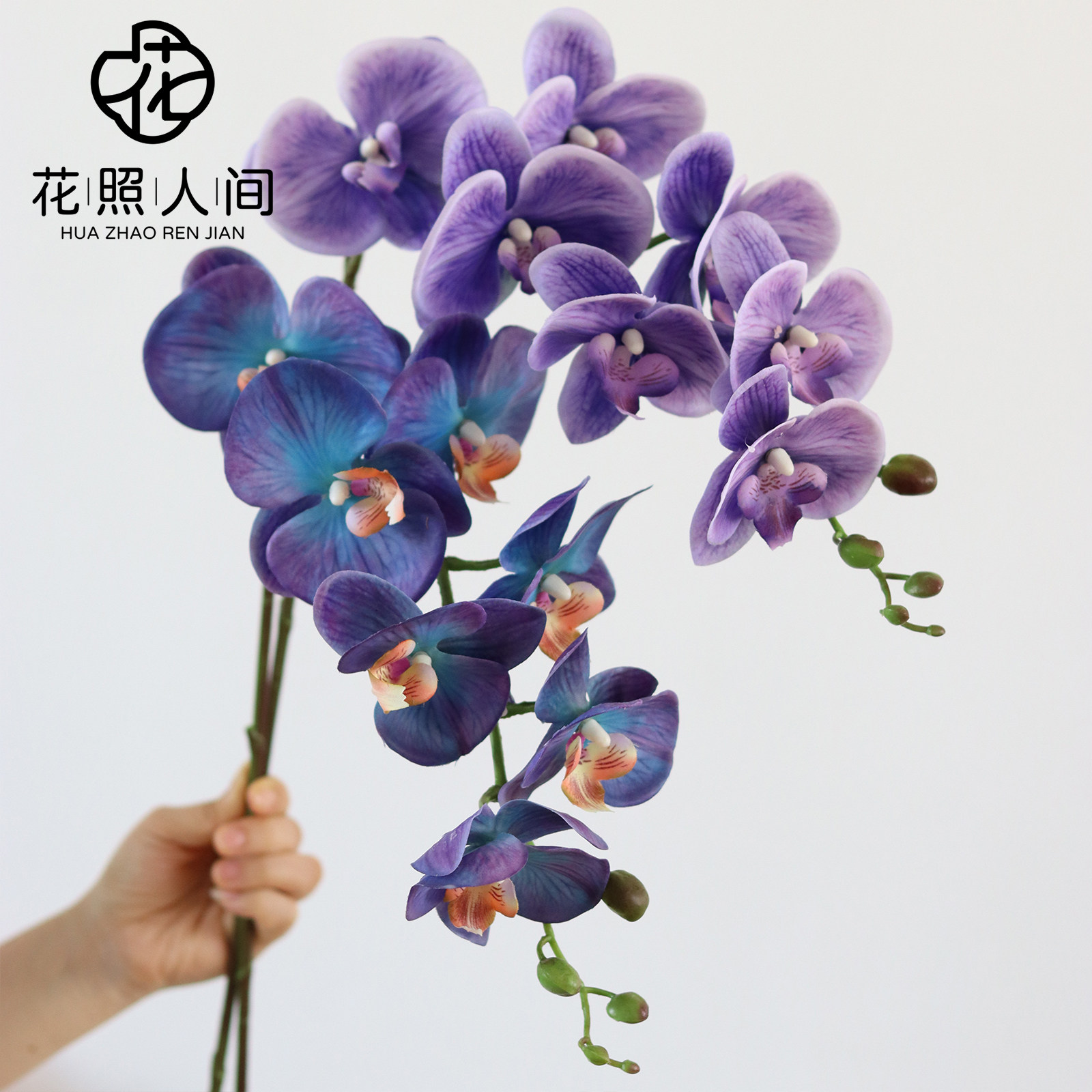 蝴蝶兰仿真花高品质手感保湿假花家居装饰中式造景花材拍摄道具花