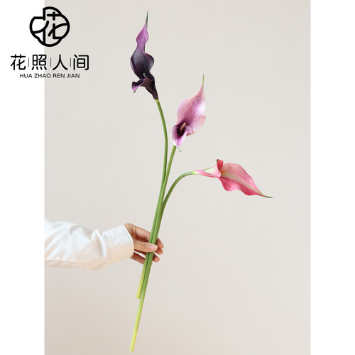 高品质eva马蹄莲仿真花 家居装饰假花拍摄道具花束花艺师配花花材