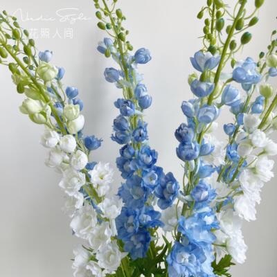 仿真花室内、商用中国大陆大飞燕