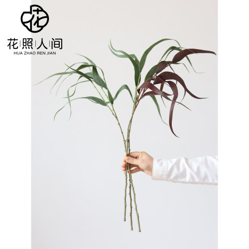 高品质柳叶尤加利仿真绿叶手感软胶假树枝花艺师插花配叶造景花材