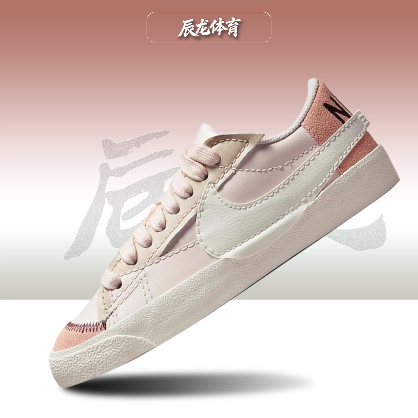 Nike/耐克女子低帮板鞋