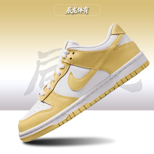 Nike/耐克大童低帮板鞋