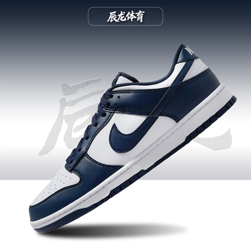 Nike/耐克男子低帮板鞋