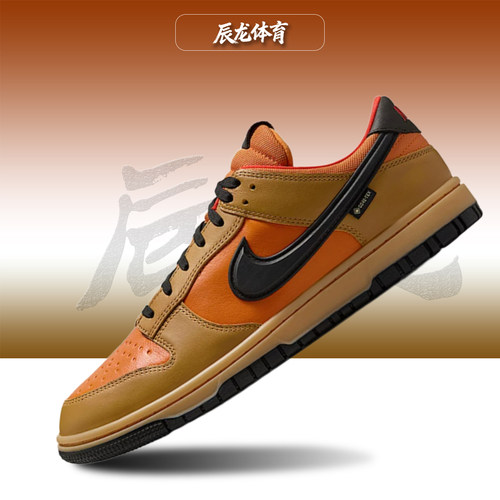 Nike/耐克男子低帮板鞋
