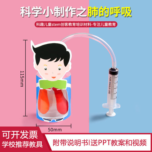 肺呼吸运动模型科技小制作材料包
