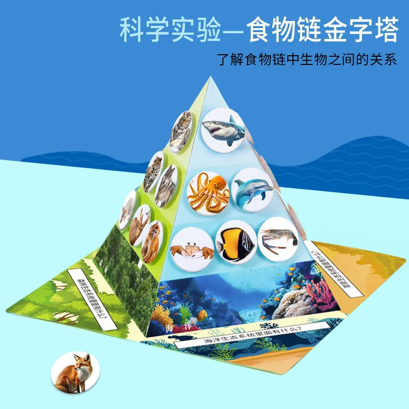 食物链金字塔科学小实验材料包