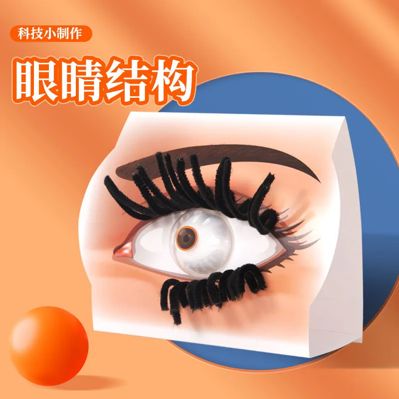 DIY手工眼睛结构儿童中小DIY科技小制作STEM教育教具科学实验