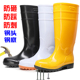 防砸防刺雨靴钢头钢底黄色高筒耐酸碱CE认证雨鞋 水鞋 大码 50码